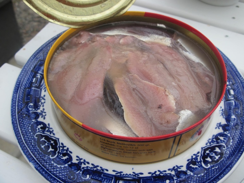 Surströmming Original FILET - Fisch aus Dose - Röda Ulven 300g Dose -  Schwedische Spezialität - Made in Sweden - DAS ORIGINAL (1x Filet - 300g)